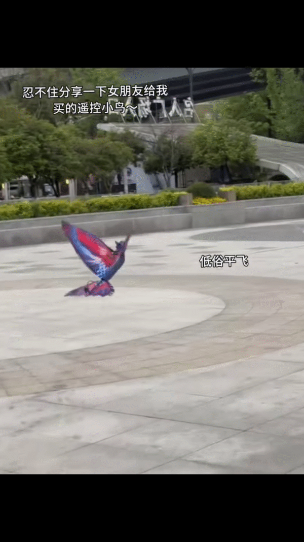 🕊️ Remote-Controlled Flapping Bird Toy – Realistic Flight Action with LED Light - Image 2
