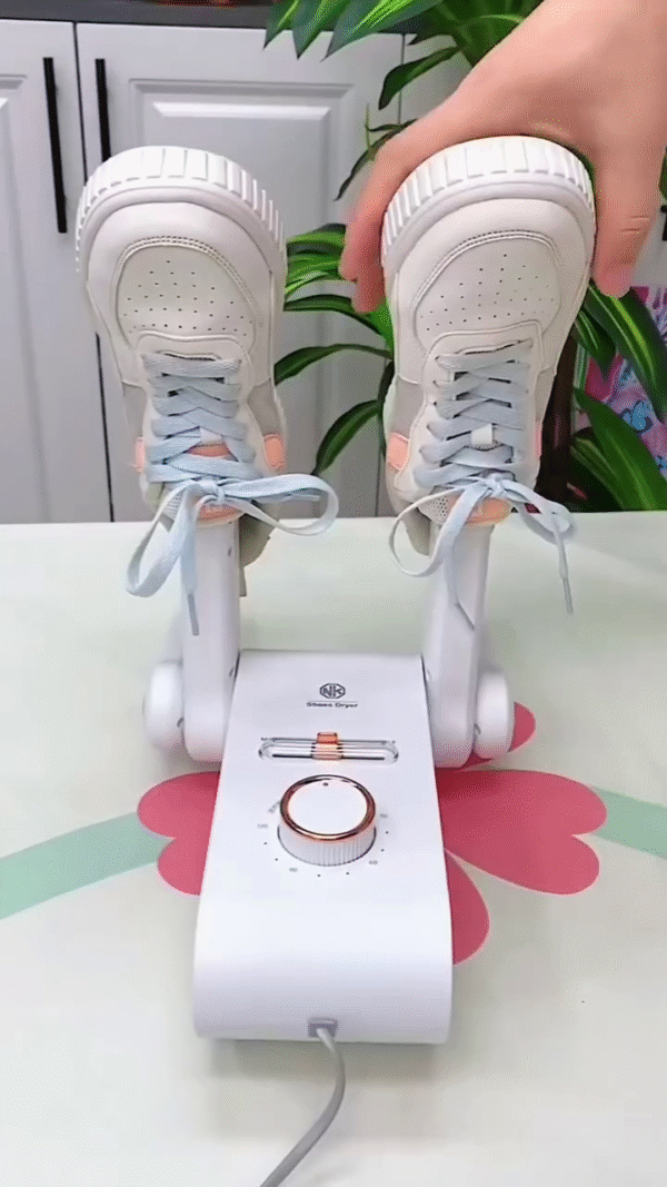 Electric Shoe Dryer & Deodorizer with Timer Control - Image 3