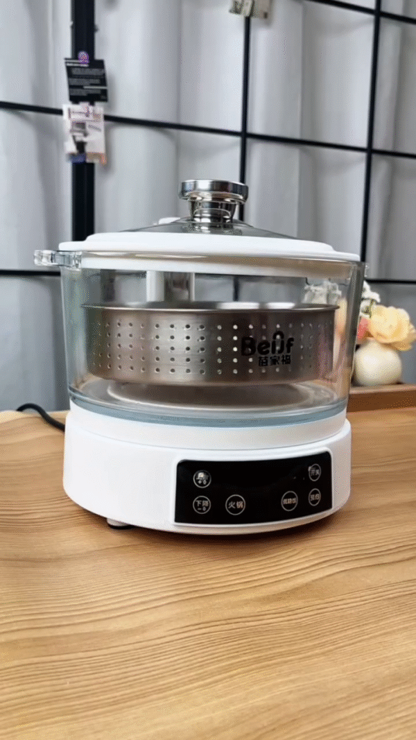 Multi-Functional Electric Food Steamer & Cooker – Glass Pot with Digital Touch Panel