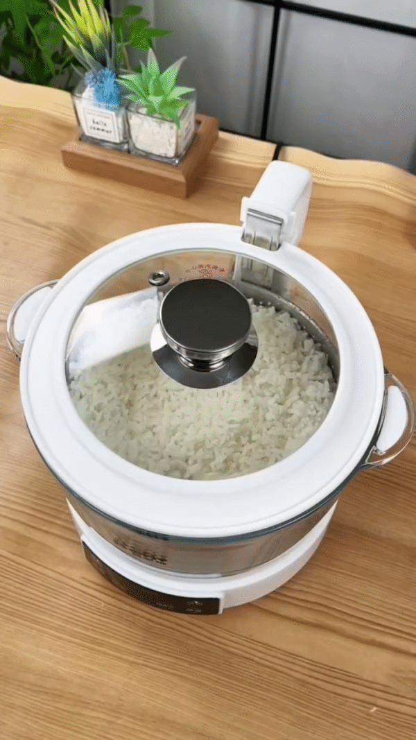 Multi-Functional Electric Food Steamer & Cooker – Glass Pot with Digital Touch Panel - Image 2